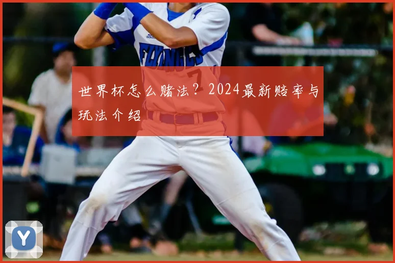 世界杯怎么赌法?2024最新赔率与玩法介绍