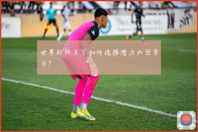 世界杯热点下如何选择潜力加密货币？