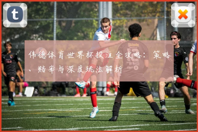伟德体育世界杯投注全攻略：策略、赔率与深度玩法解析