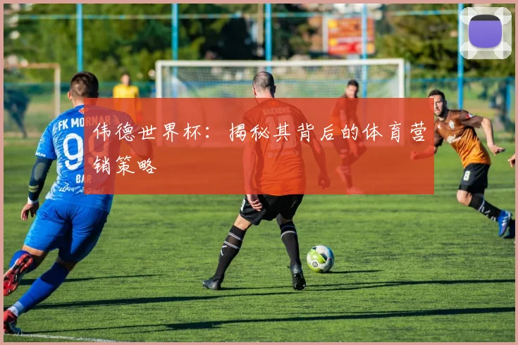 伟德世界杯：揭秘其背后的体育营销策略